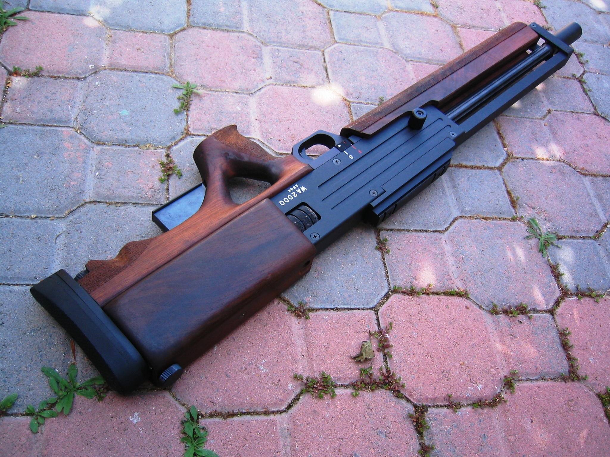 wa 2000 rifle